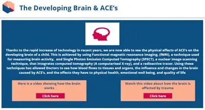 Adverse Childhood Experiences the Developing Brain