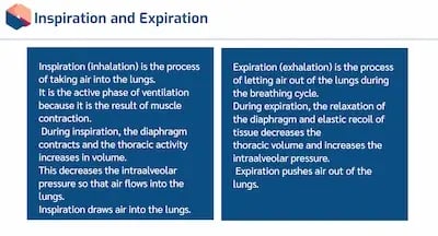 Artificial Ventilation IE