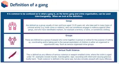 Child Protection definition of a gang
