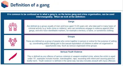 Child Protection definition of a gang