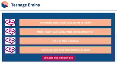 Child Protection teenage brains