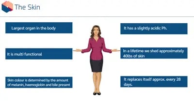 Pressure Sore Awareness The Skin