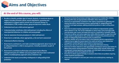 Safeguarding of Children and Young People Level 3 objectives