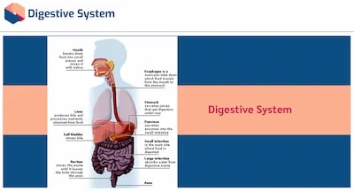 Stoma Care Awareness Digestive