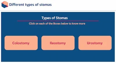 Stoma Care Awareness Types